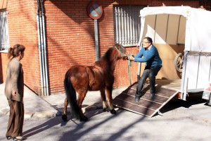 Jaime 01