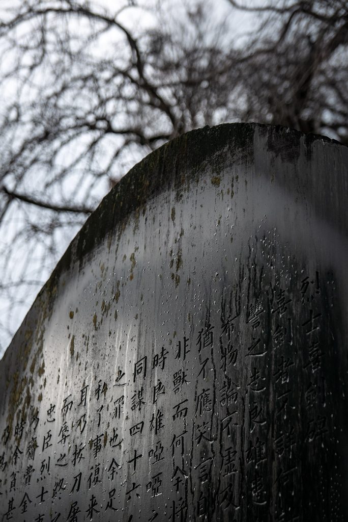 Fotografía de Viaje en Japón
